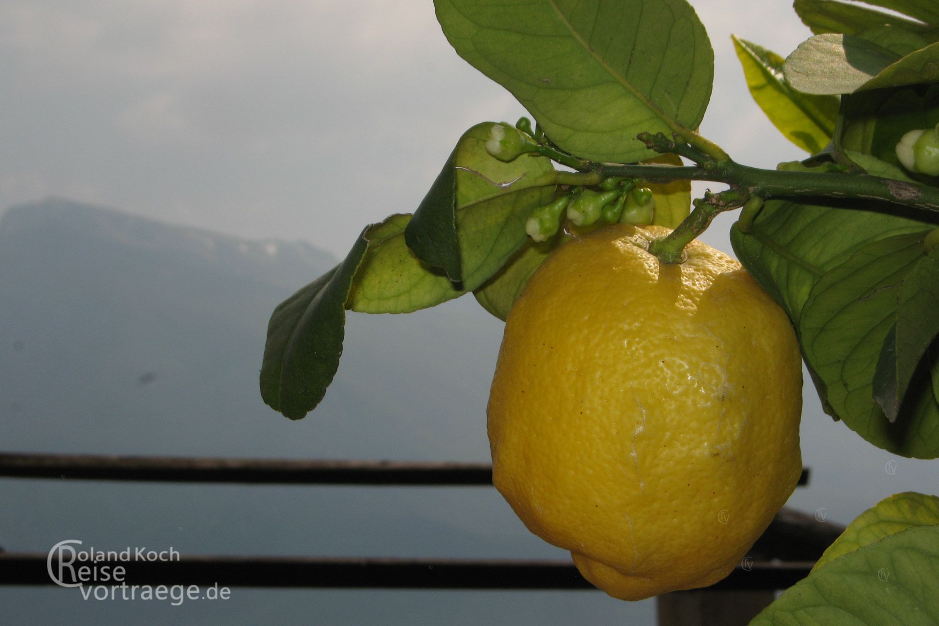 Italien - Gardasee - Orangerie in Limone